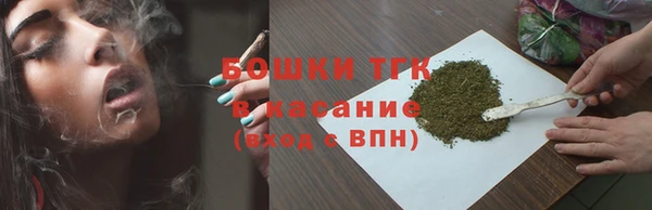 гидра Арсеньев