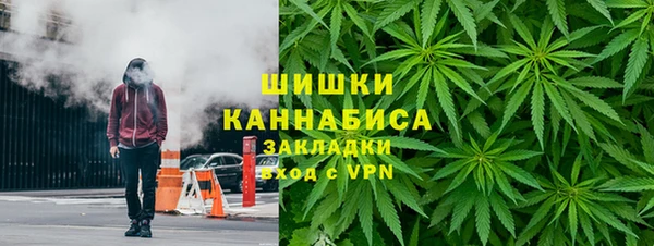 гидра Арсеньев