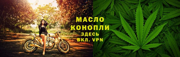 гидра Арсеньев